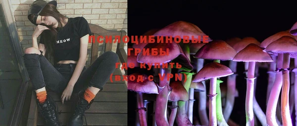 COCAINE Богданович