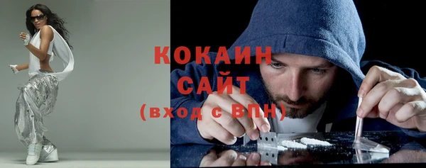 spice Богородск
