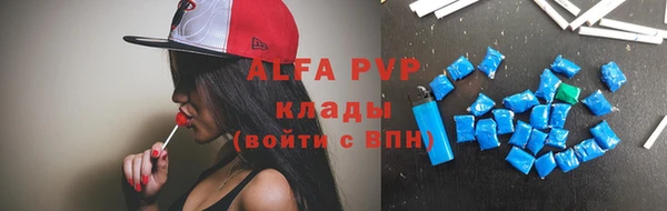 spice Богородск