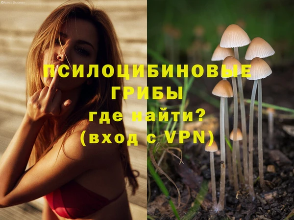 COCAINE Богданович