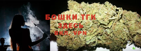 spice Богородск