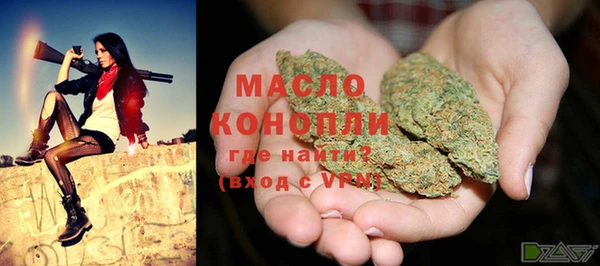 spice Богородск