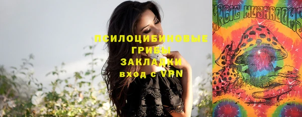 spice Богородск